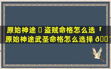 原始神途 ☘ 盗贼命格怎么选「原始神途武圣命格怎么选择 🐴 」